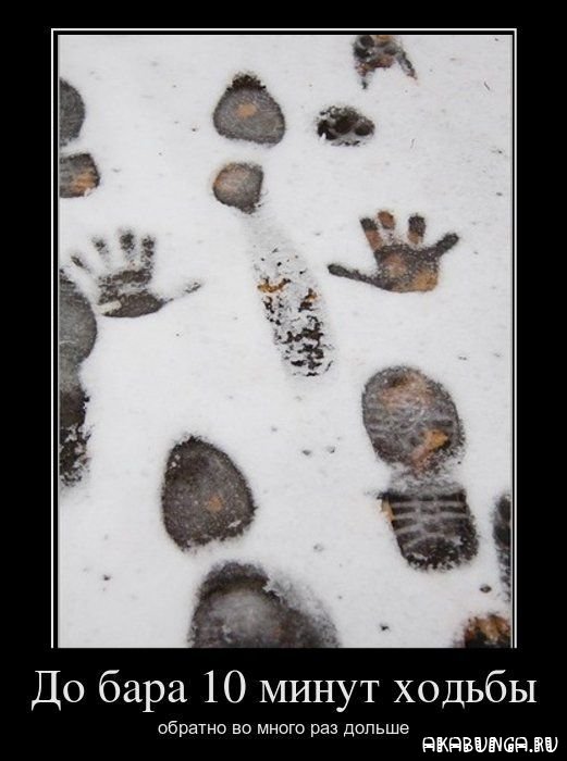 5107888_1324031708_demotivator_018 (521x700, 53Kb)
