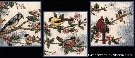 birds and blossomsaifa (461x198, 81Kb)