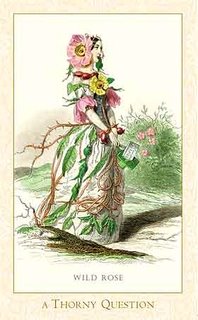 victorian_flower_oracle_wild_rose-5 (198x320, 18Kb)