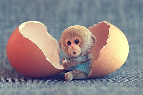 tumblr_ml05tyturv1rp1o2do1_500 (500x333, 48Kb)