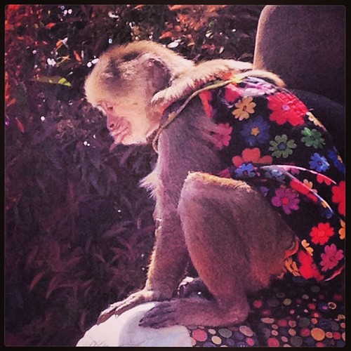 tumblr_mlrwhj6cEM1qju84qo1_500 (500x500, 75Kb)