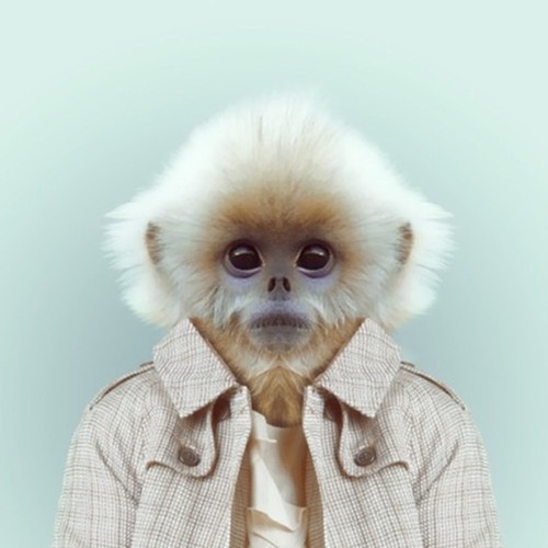 tumblr_mlszomDOC51rnlpano3_500 (500x500, 38Kb)