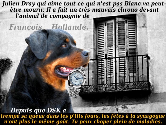 Rotweiller_Hollande (700x527, 205Kb)