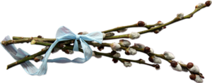1367147752_rew (300x118, 37Kb)