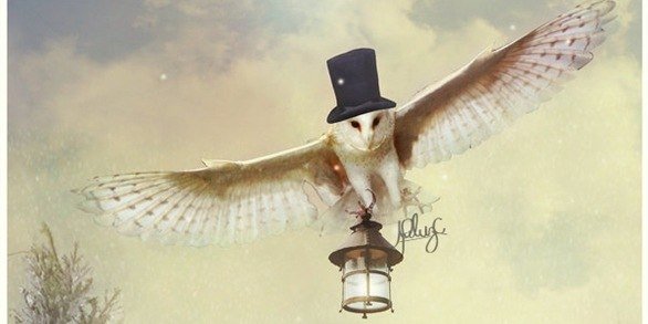 fb06876170df (586x293, 29Kb)