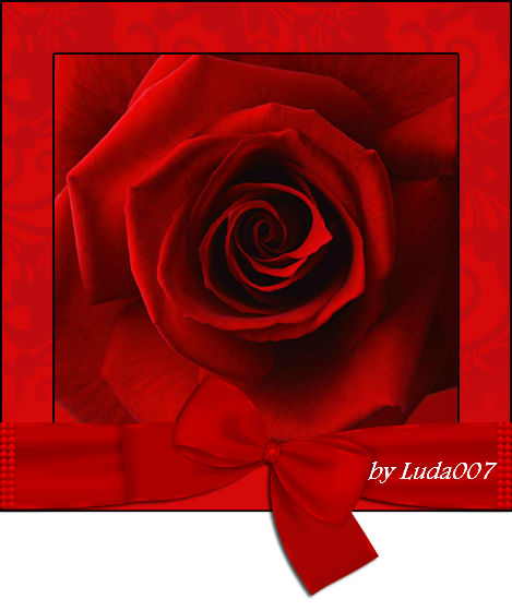 3427527_roza_alaya (469x560, 281Kb)