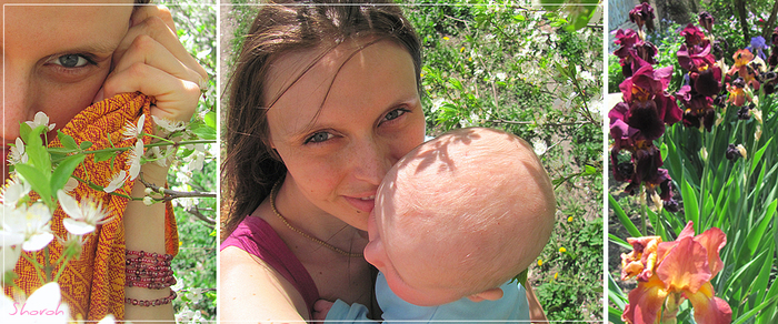 4052195_IMG_9105_copy_copy (700x292, 347Kb)