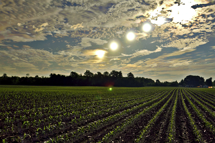 Matt-Molloy-12 (700x465, 354Kb)