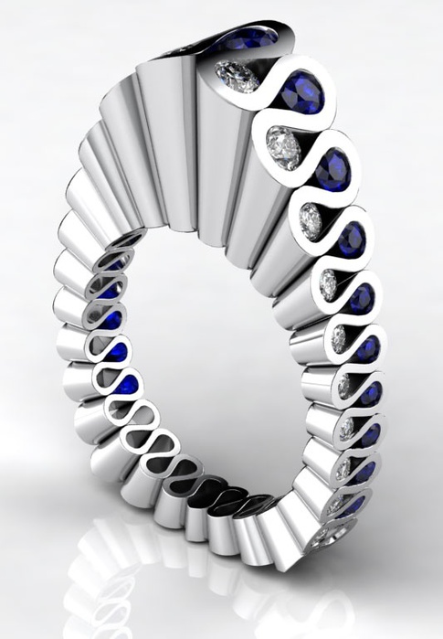 Ring by Erik Stewart. Platinum (485x700, 78Kb)