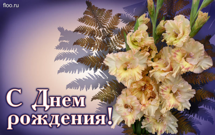 http://img0.liveinternet.ru/images/attach/c/8/100/359/100359450_large_S_dnem_rozhdeniya_3.jpg