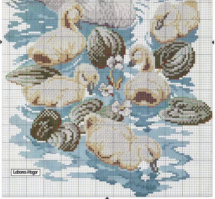 swans in to the pond2 (700x649, 210Kb)