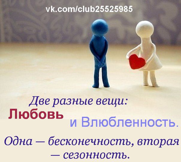 255269_393190320739347_1057010478_n (604x541, 49Kb)