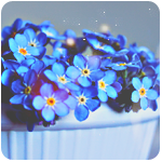 fmn2 (150x150, 54Kb)