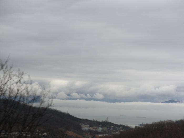 CIMG8835 (700x525, 164Kb)
