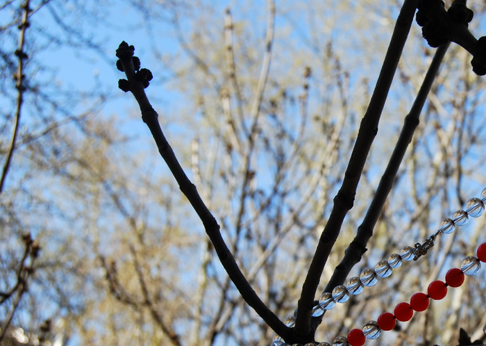 DSC_1602 (700x498, 407Kb)