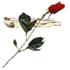 1367509939_0_68949_93235640_XSjpg (100x100, 40Kb)