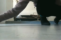 tumblr_mjzi4wMQqA1qlkjzio1_400 (260x173, 1045Kb)