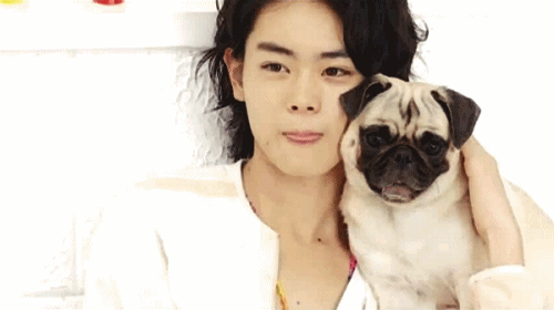 tumblr_mlkwmbglid1rba3t3o2_500 (500x280, 1009Kb)