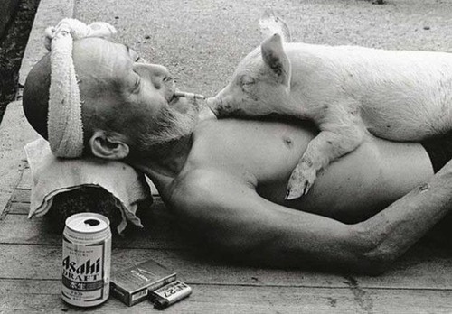tumblr_mlsev1xSEo1rl6dd0o1_500 (500x348, 58Kb)