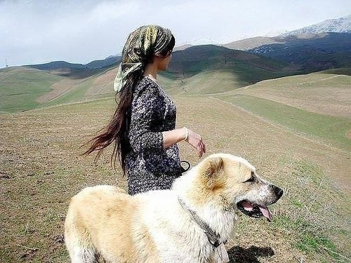 tumblr_mm4bxha1w41rf9wh6o1_500 (500x375, 68Kb)
