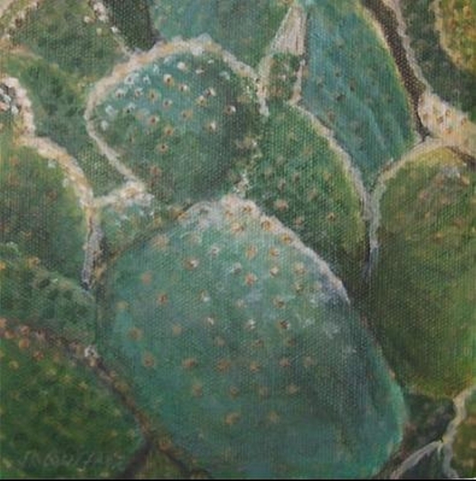 up_close__beavertail_cactus_4e9fdebecbc6e85b0b12e6f1e805c8d8 (692x700, 275Kb)