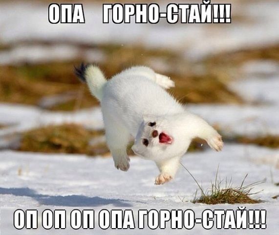 5247919_gornostai (571x480, 42Kb)