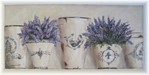  french lavander pots close (560x281, 41Kb)