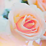 rr4 (150x150, 42Kb)