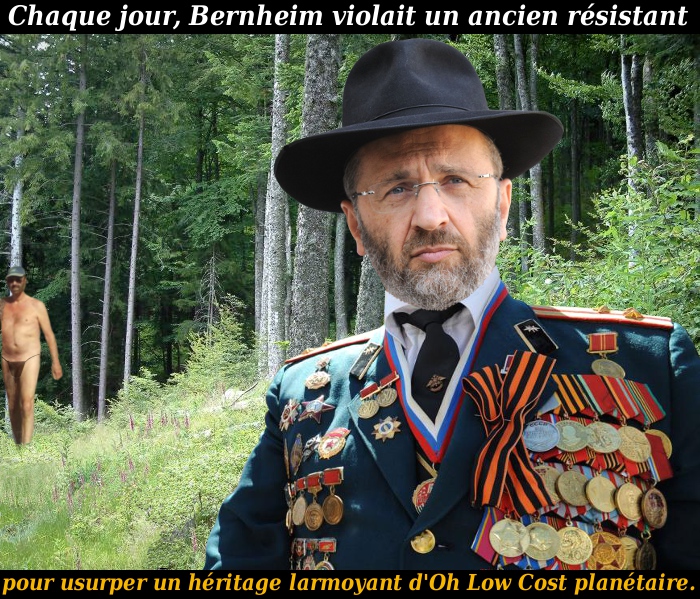 Resistant_Bernheim (700x599, 299Kb)