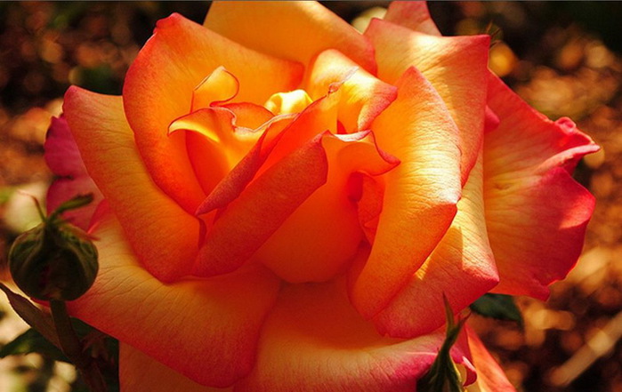 35 (700x441, 95Kb)