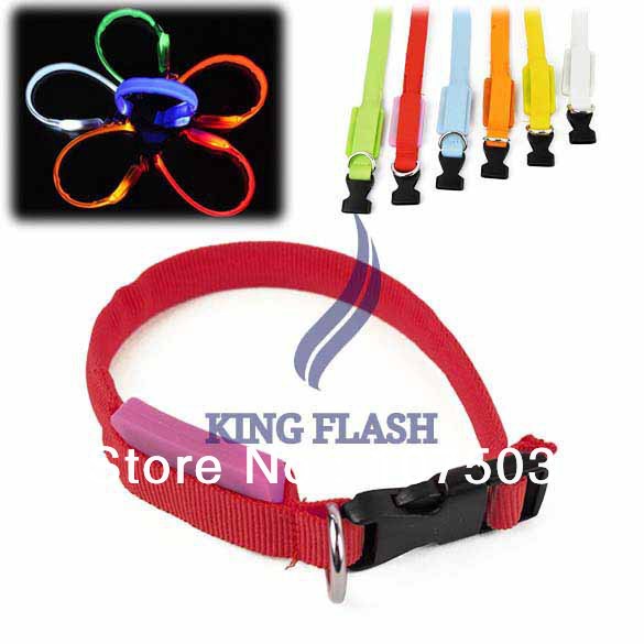 LED-Dog-Collar-Night-Safety-Flashing-Light-Pet-Collar-Adjustable-Cat-Collar-6Colors-Free-Shipping-9363 (585x585, 49Kb)