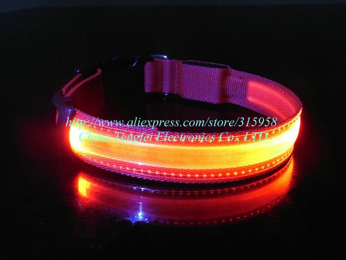 Pet-Dog-Safety-LED-Collar-LED-Light-up-Flashing-Glow-Blue-Red (700x525, 49Kb)