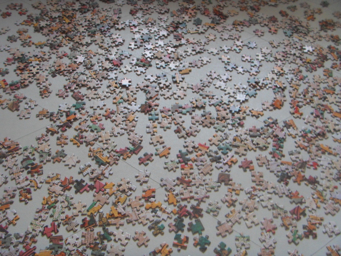 SDC12053 (700x525, 301Kb)
