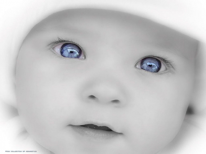 1455346_fotorebenok (700x525, 113Kb)