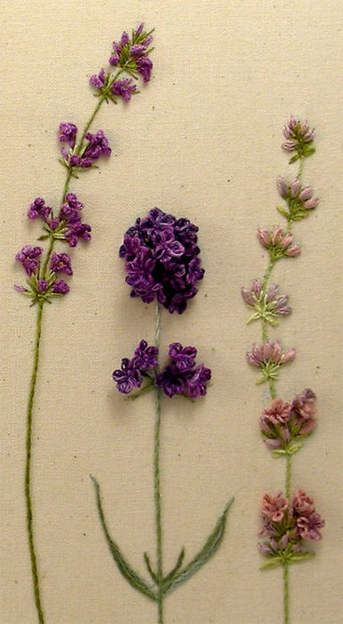 lavender_1 (385x700, 109Kb)