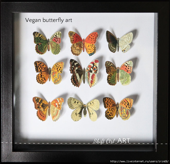 Vegan-butterfly-framed-art-paper-craft (700x674, 258Kb)