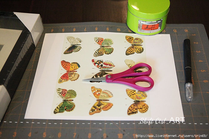 Vegan-butterfly-framed-art-paper-craft-1 (700x467, 192Kb)