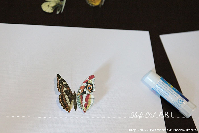 Vegan-butterfly-framed-art-paper-craft-7 (700x467, 135Kb)