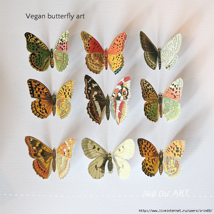 Vegan-butterfly-framed-art-paper-craft-9 (700x700, 374Kb)