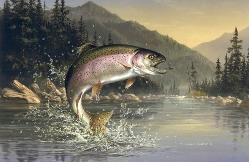 3623822_untitled (500x327, 48Kb)