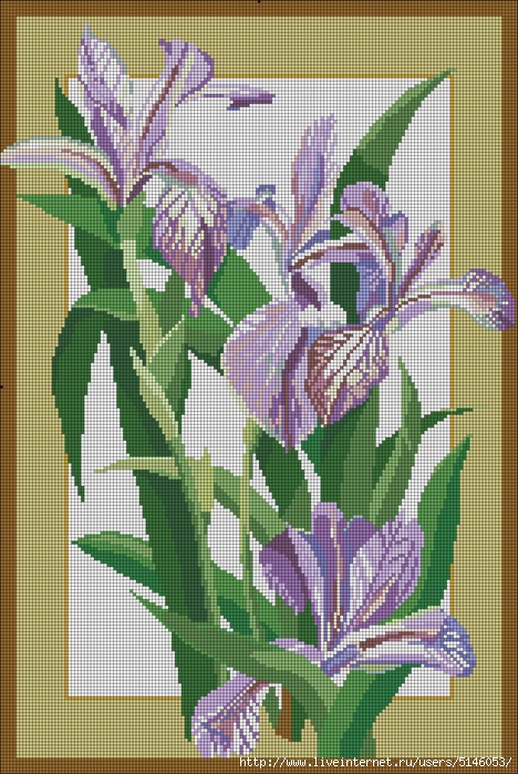 violet_irises (468x700, 335Kb)