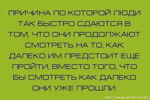 1 (600x400, 93Kb)