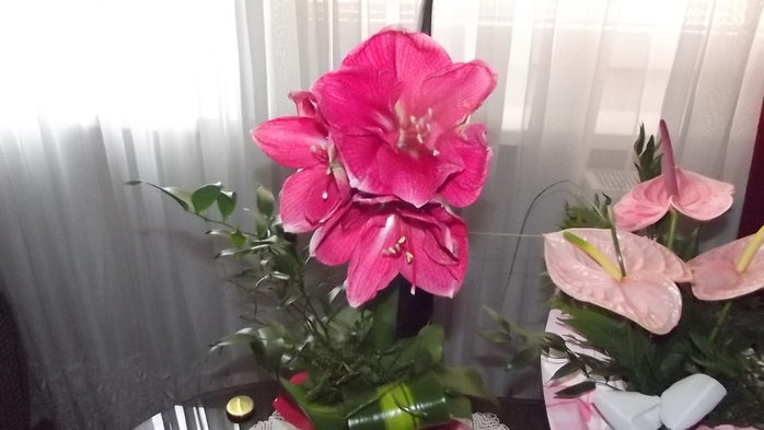 3401052_Kepd_258 (700x393, 167Kb)