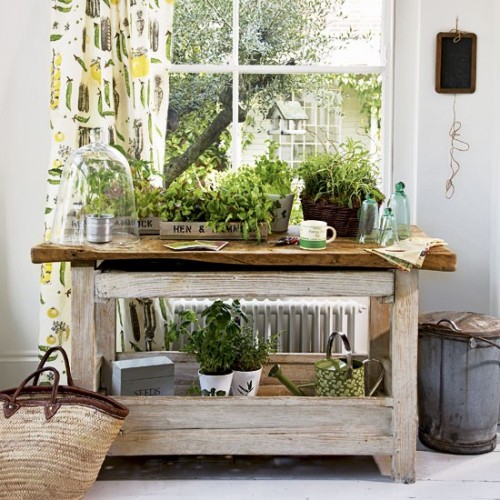 40-inspiring-diy-herb-gardens-500x500 (500x500, 86Kb)