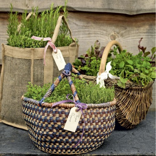 herb-garden-inspirations-500x500 (500x500, 104Kb)