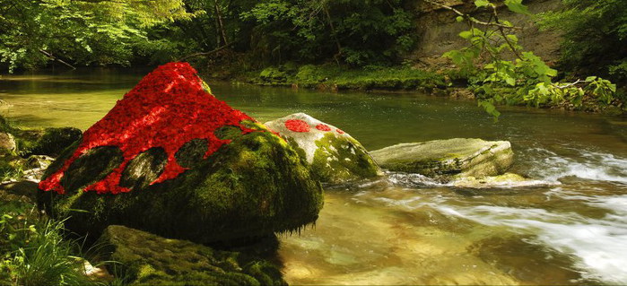 3623822_s23 (700x319, 90Kb)