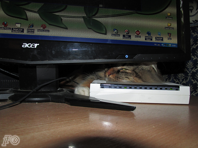 1668275_masya_2 (640x480, 250Kb)