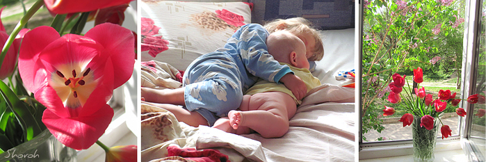 4052195_100324714_4052195_IMG_9105_copy_copy (700x233, 247Kb)