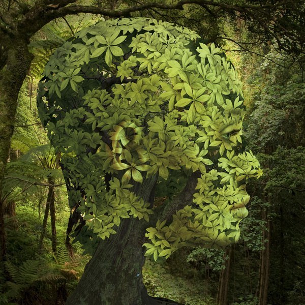  (600x600, 128Kb)