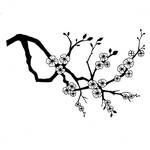  cherry-blossom-branch-web (600x600, 79Kb)
